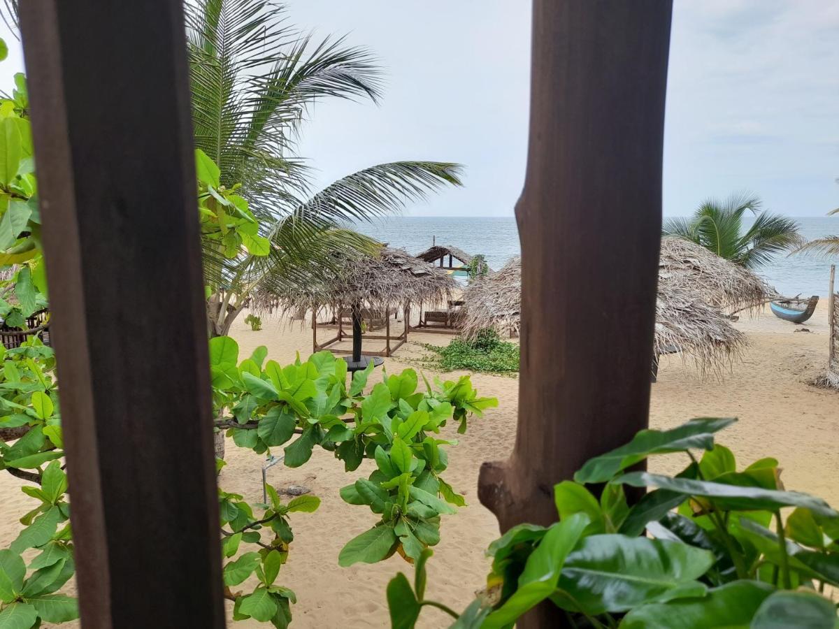 ארוגם Golden Beach Chalets מראה חיצוני תמונה