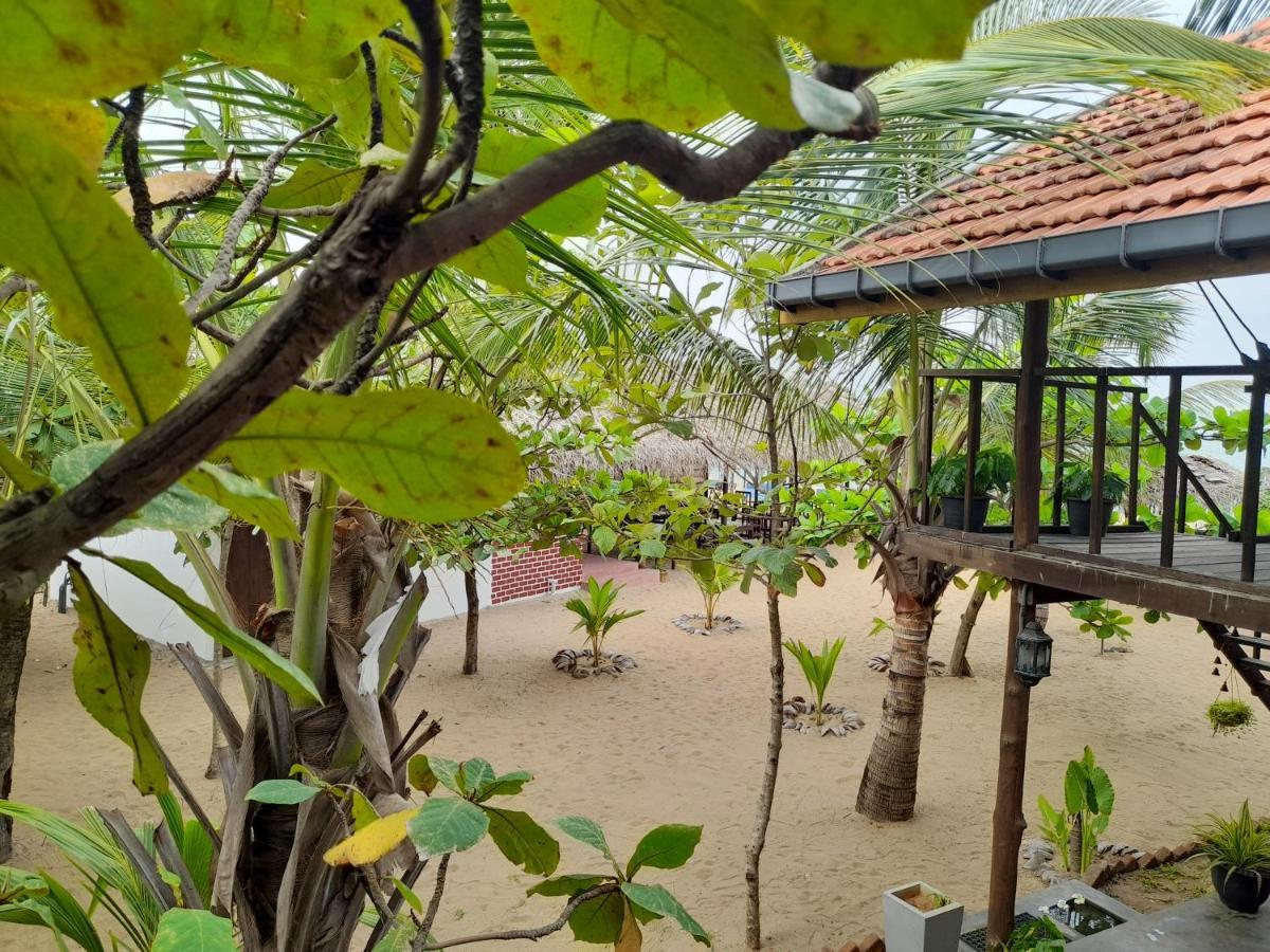ארוגם Golden Beach Chalets מראה חיצוני תמונה