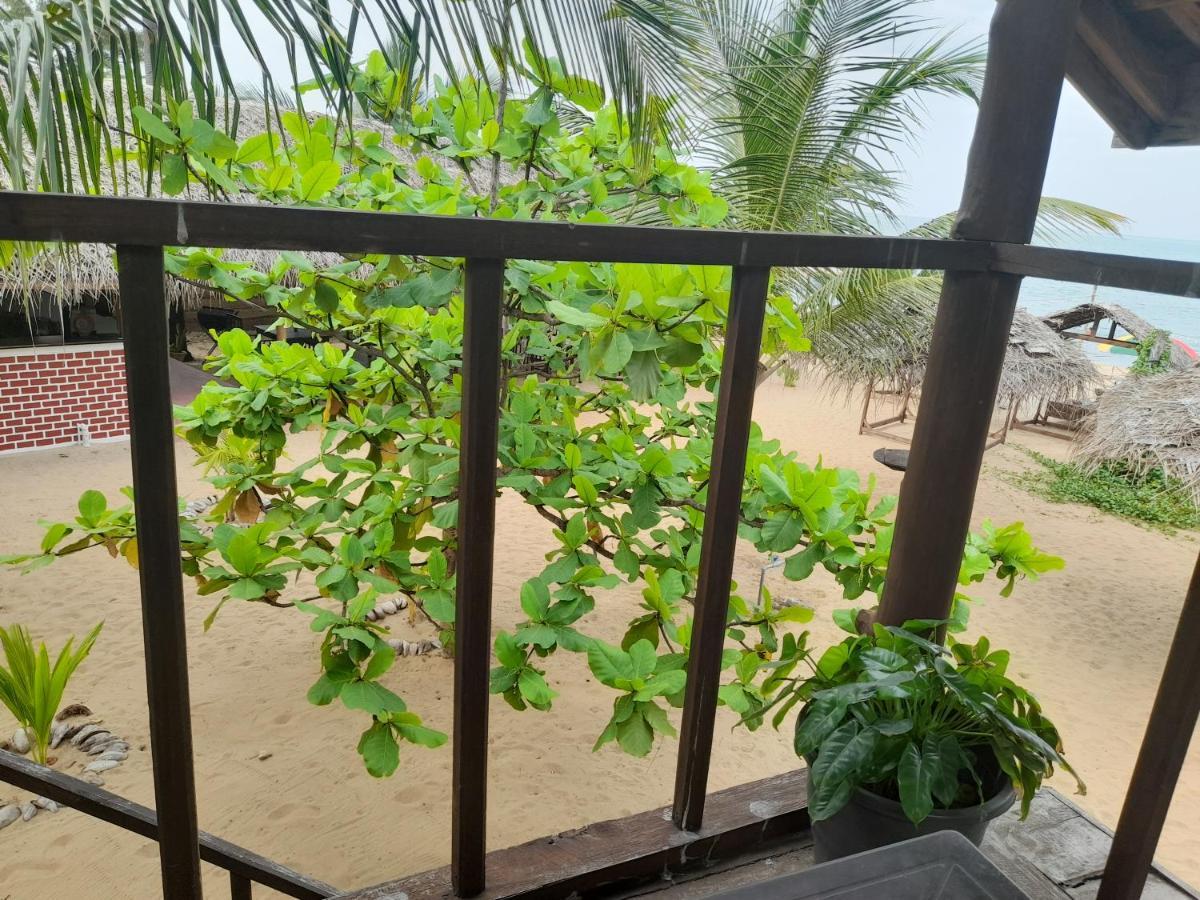 ארוגם Golden Beach Chalets מראה חיצוני תמונה