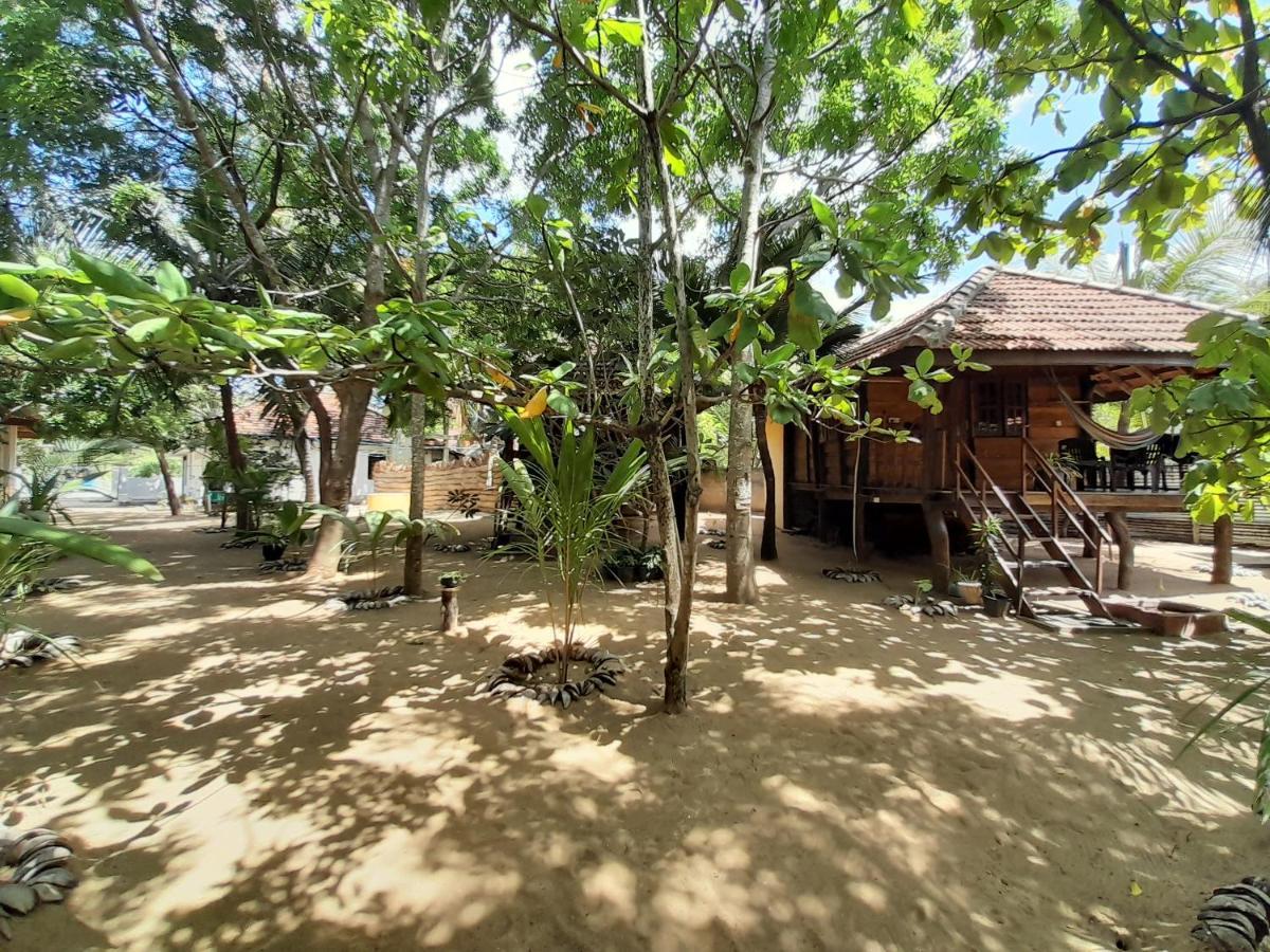 ארוגם Golden Beach Chalets מראה חיצוני תמונה