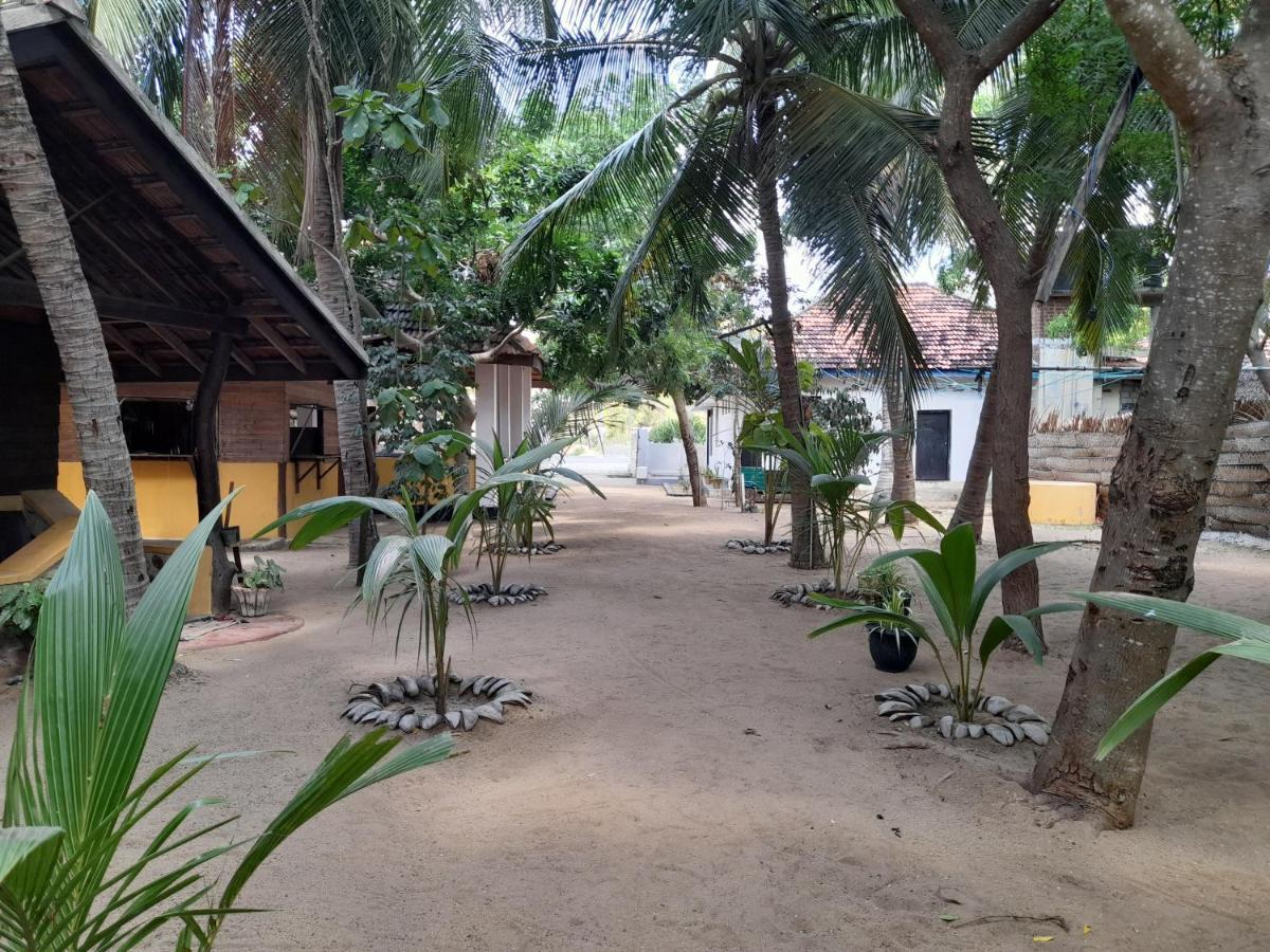 ארוגם Golden Beach Chalets מראה חיצוני תמונה